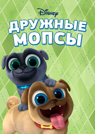 Дружные мопсы
